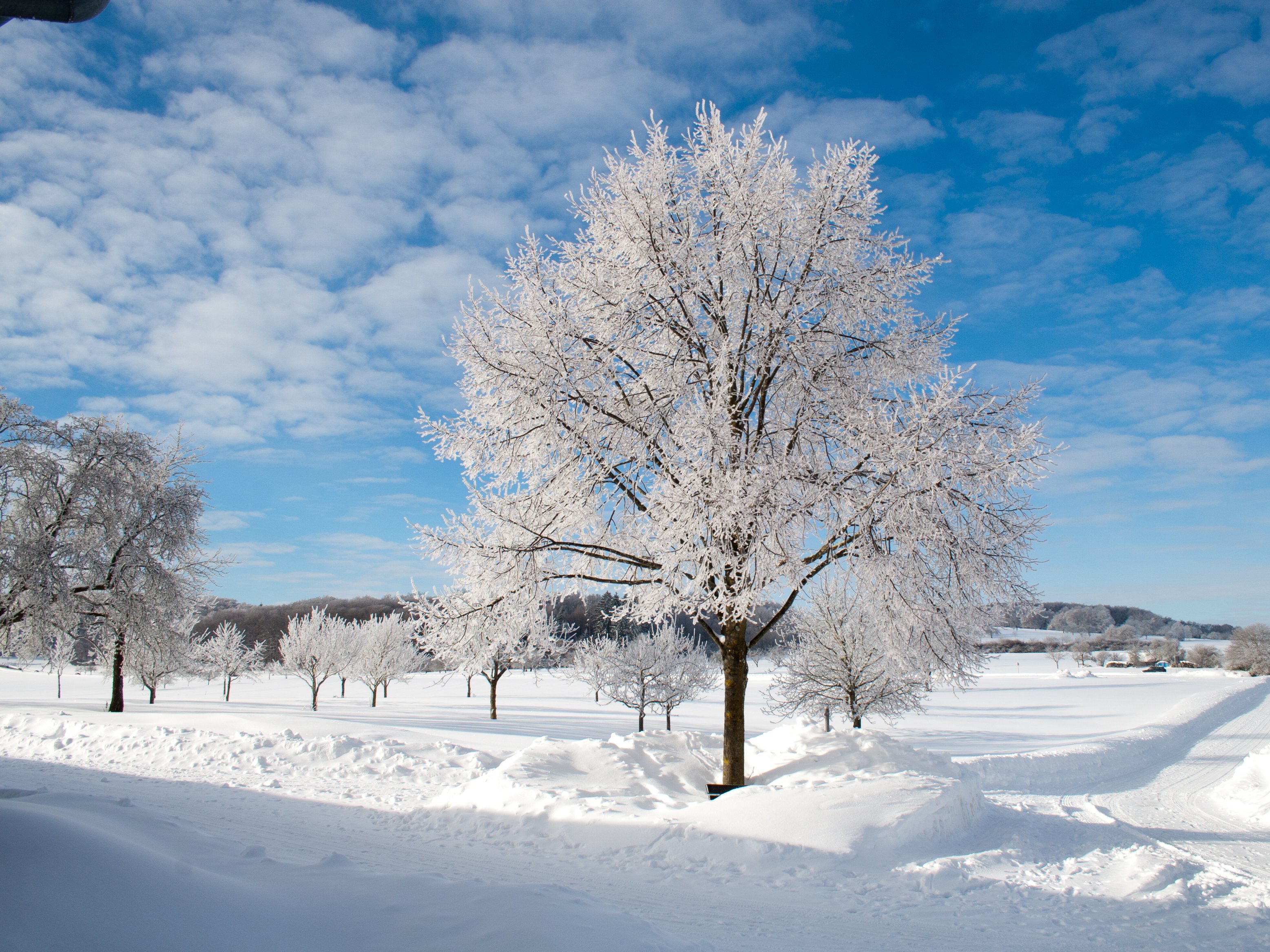 
    
            
                    Erkenbrechtsweiler im Winter, Foto: Thomas Blank
                
        
