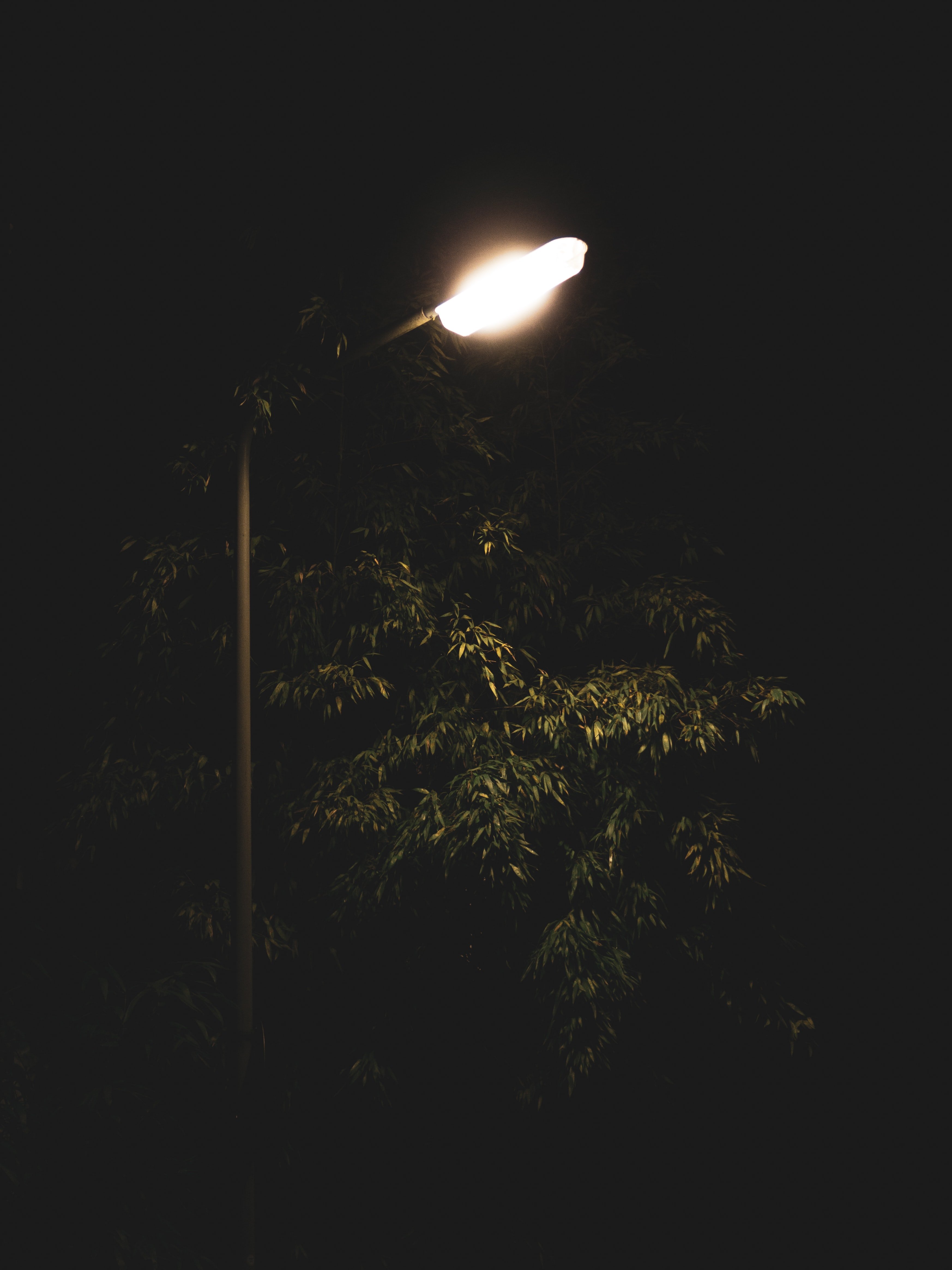  Straßenlampe, Foto: Justus Menke 